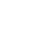 custom web development icon normal
