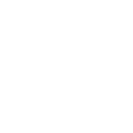shopify icon normal